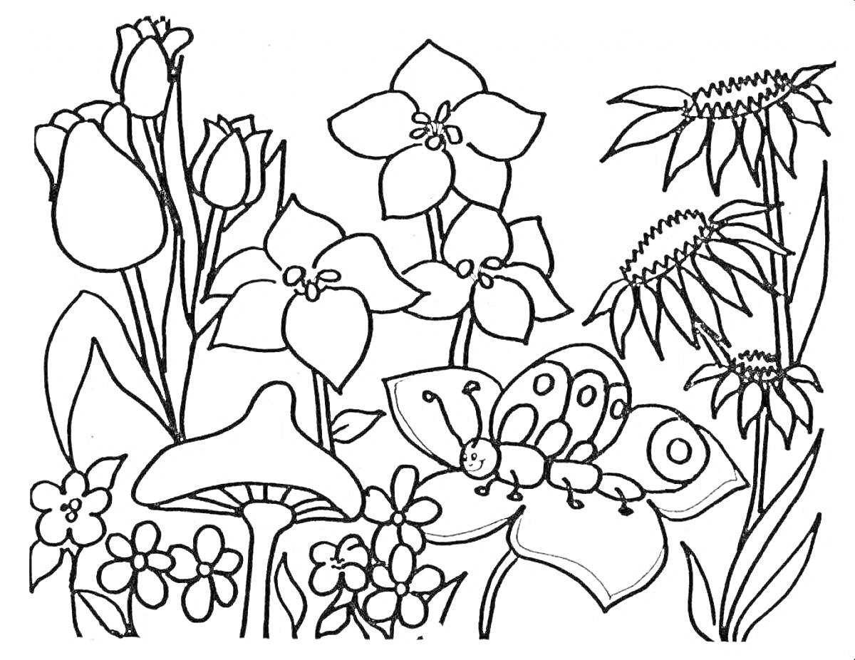 На раскраске изображено: Цветы, Поле, Тюльпаны, Крупные цветы, Бабочка, Природа, Растения