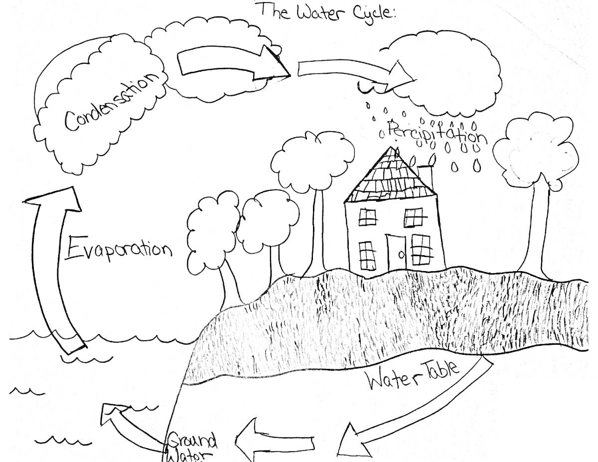 На раскраске изображено: Круговорот воды, Природа, Испарение, Осадки, Лес, Дом, Вода, Наука, Экология