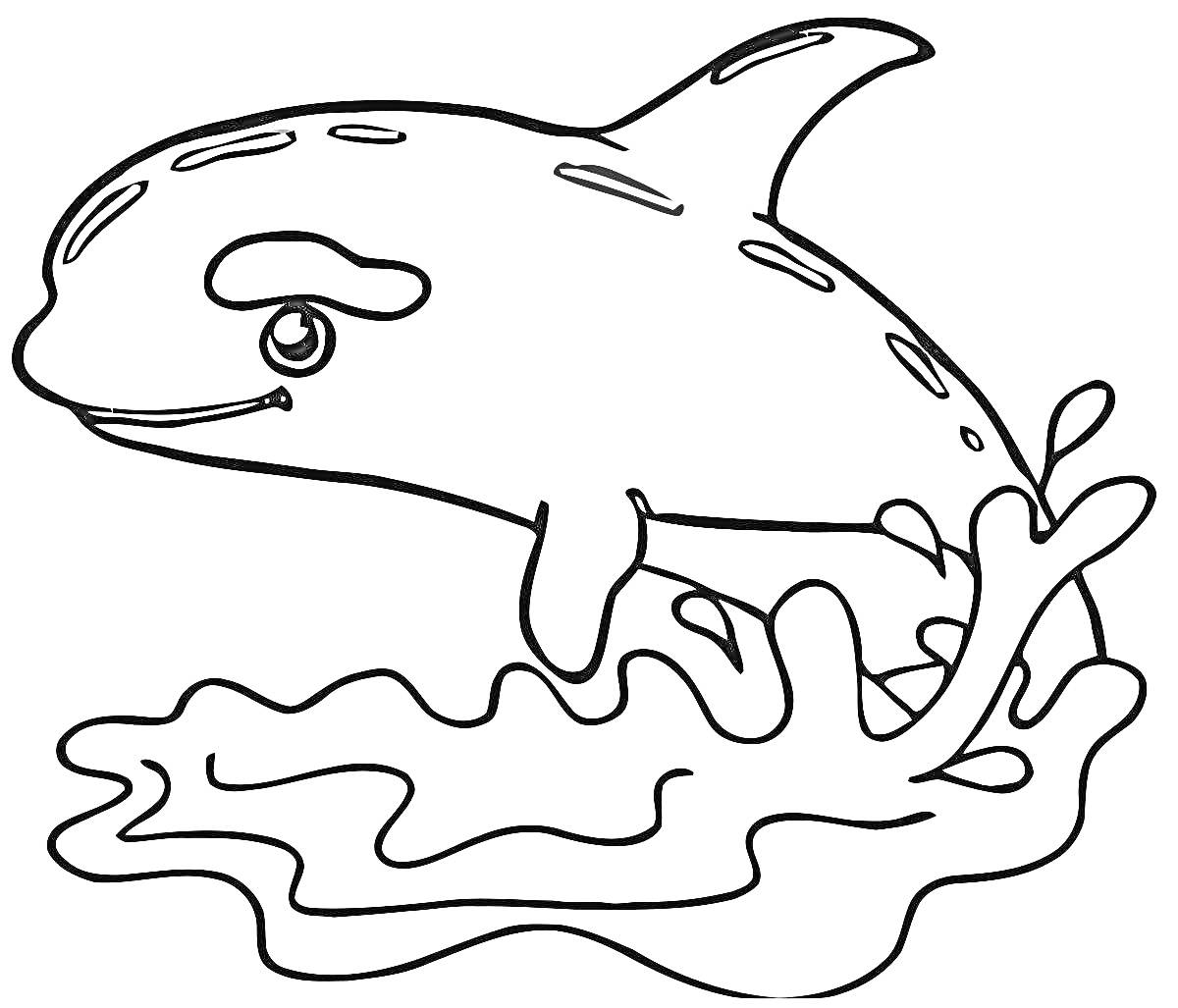 На раскраске изображено: Косатка, Вода, Брызги, Для детей, Морские животные, Океаны