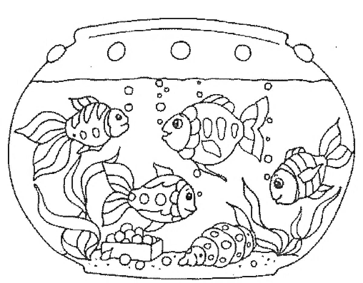 Раскраска Аквариум с рыбками, водорослями, камнями и ракушкой