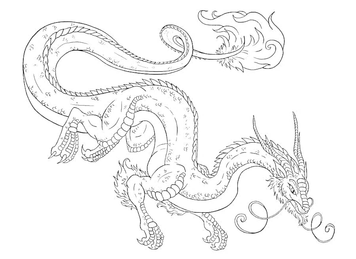 Раскраска Длинный китайский дракон с изогнутым телом, пышным хвостом и усами