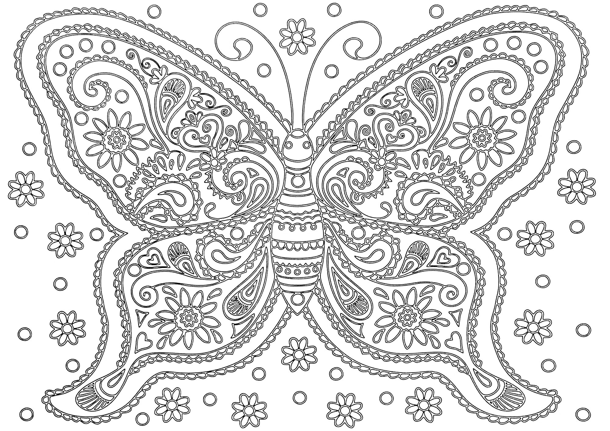 На раскраске изображено: Бабочка, Цветы, Круги