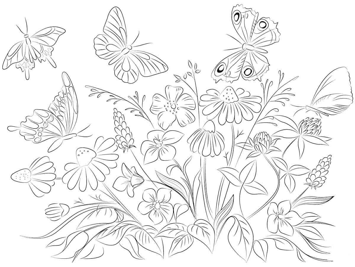 На раскраске изображено: Луг, Цветы, Природа, Листья, Растения