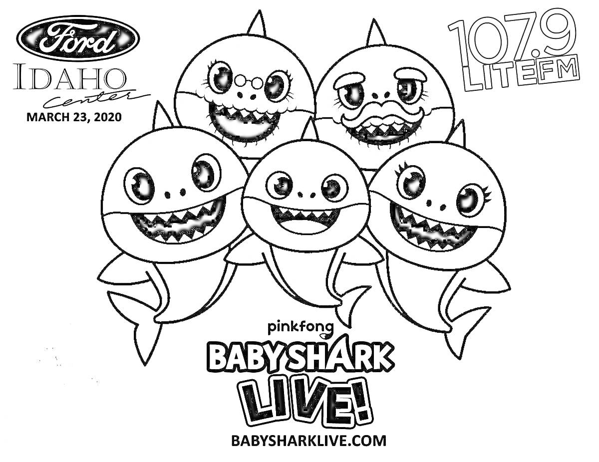 На раскраске изображено: Baby Shark, Реклама, Концерт, 2020