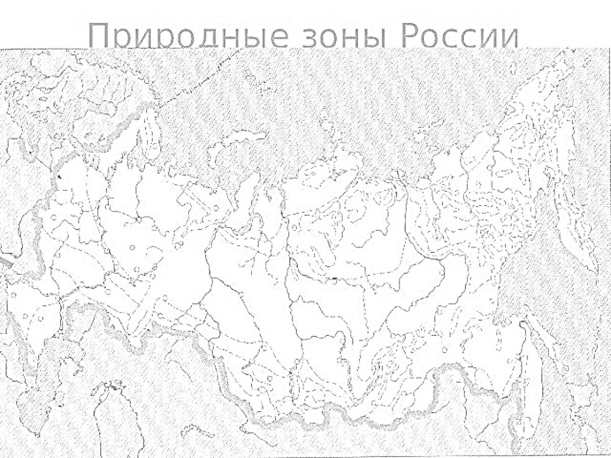 Раскраска карта природных зон России с границами зон и рельефом