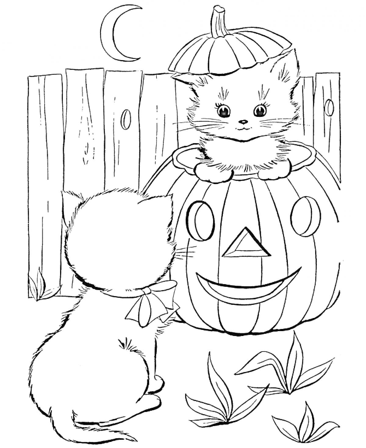 Раскраска Два котенка, один из которых сидит внутри тыквенного фонаря, а второй у тыквы; забор, полумесяц, листья на земле