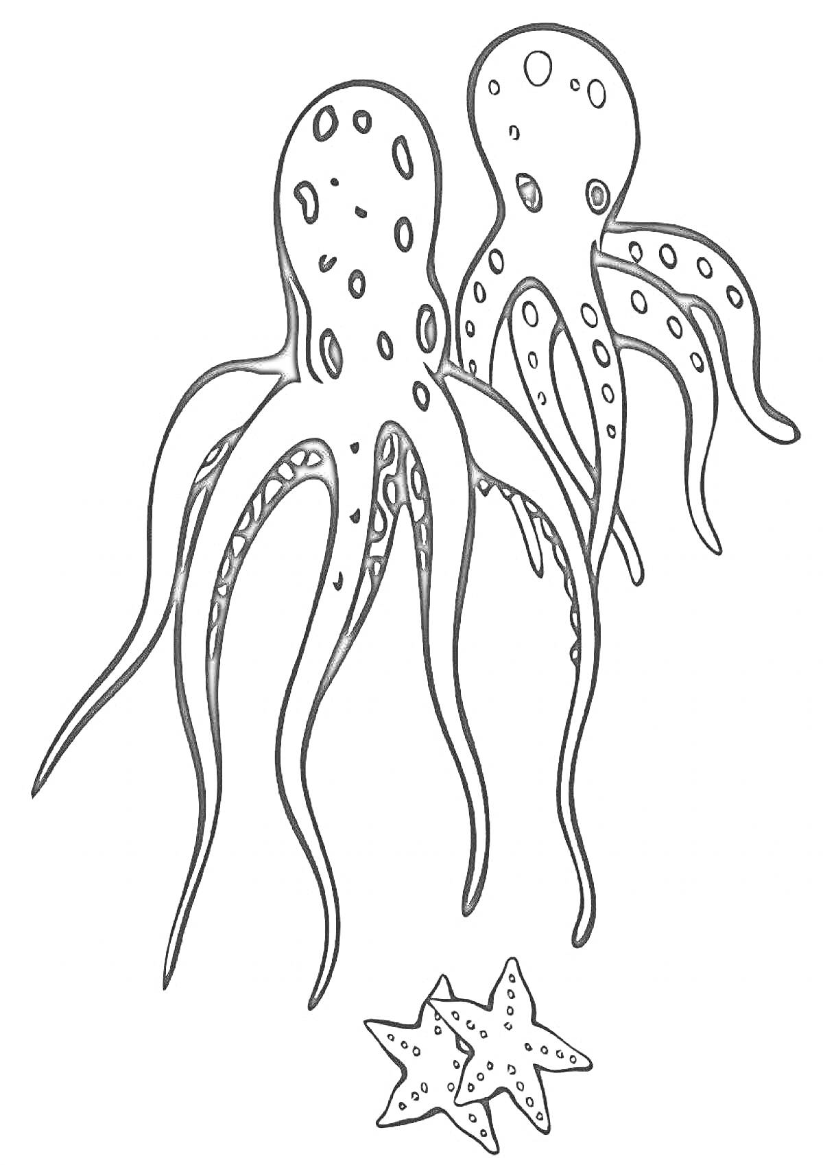 На раскраске изображено: Осьминог, Морская звезда, Подводный мир, Морские животные, Творчество, Для детей