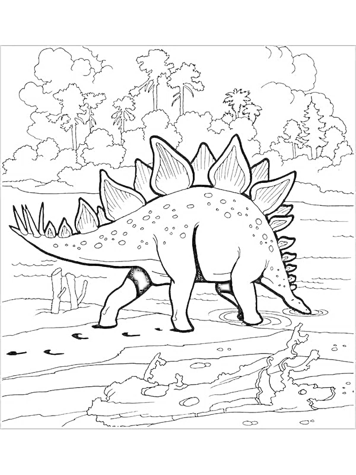 На раскраске изображено: Динозавр, Стегозавр, Пальмы, Природа