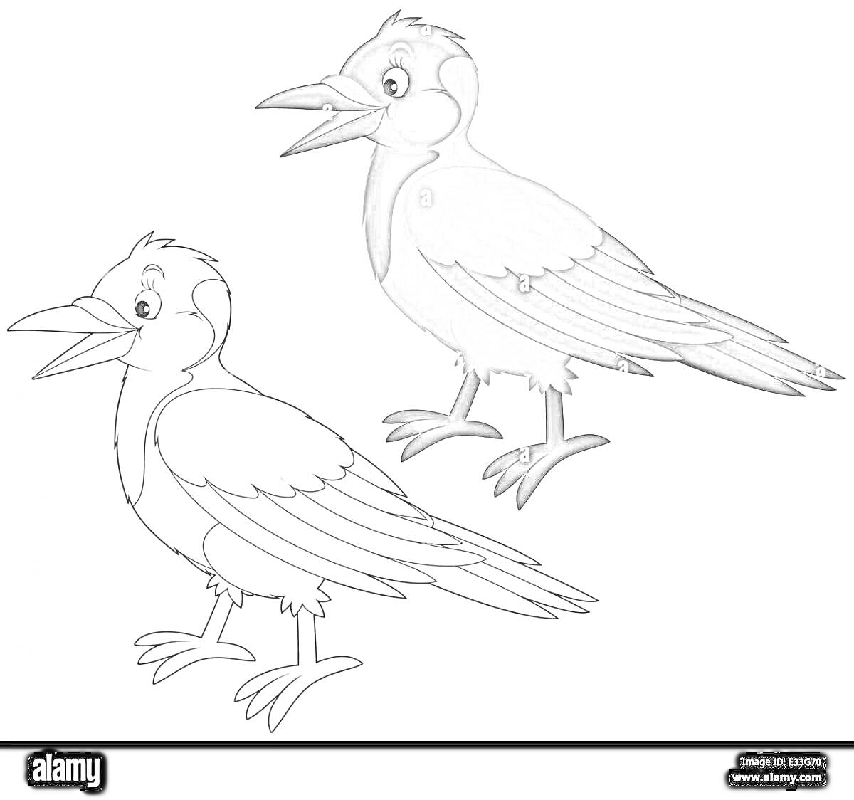 На раскраске изображено: Птица, Учебные материалы, Творчество