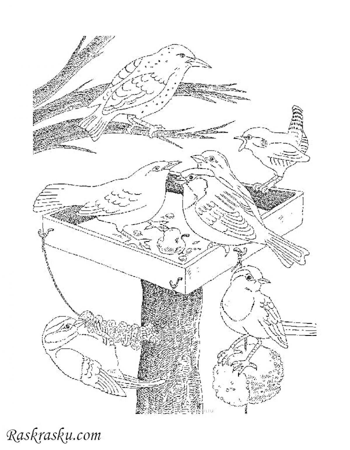На раскраске изображено: Кормушка, Еда для птиц, Природа, Кормление птиц, Зима, Птица, Деревья