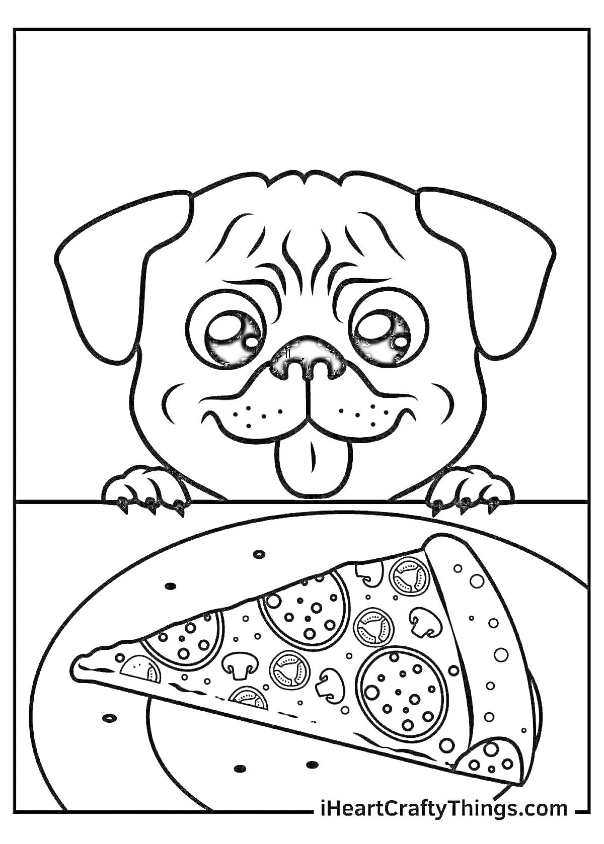 Раскраска Мопс смотрит на пиццу