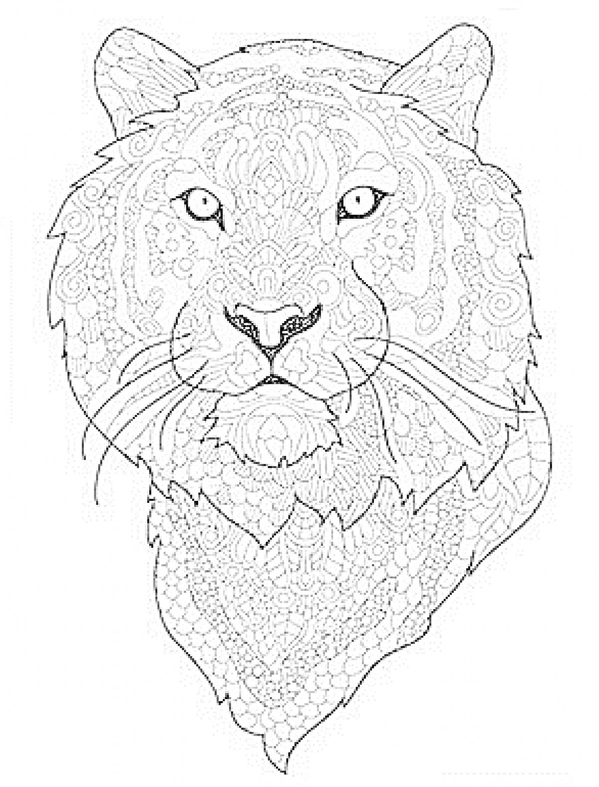 Раскраска Рисунок головы тигра с узорной детализацией