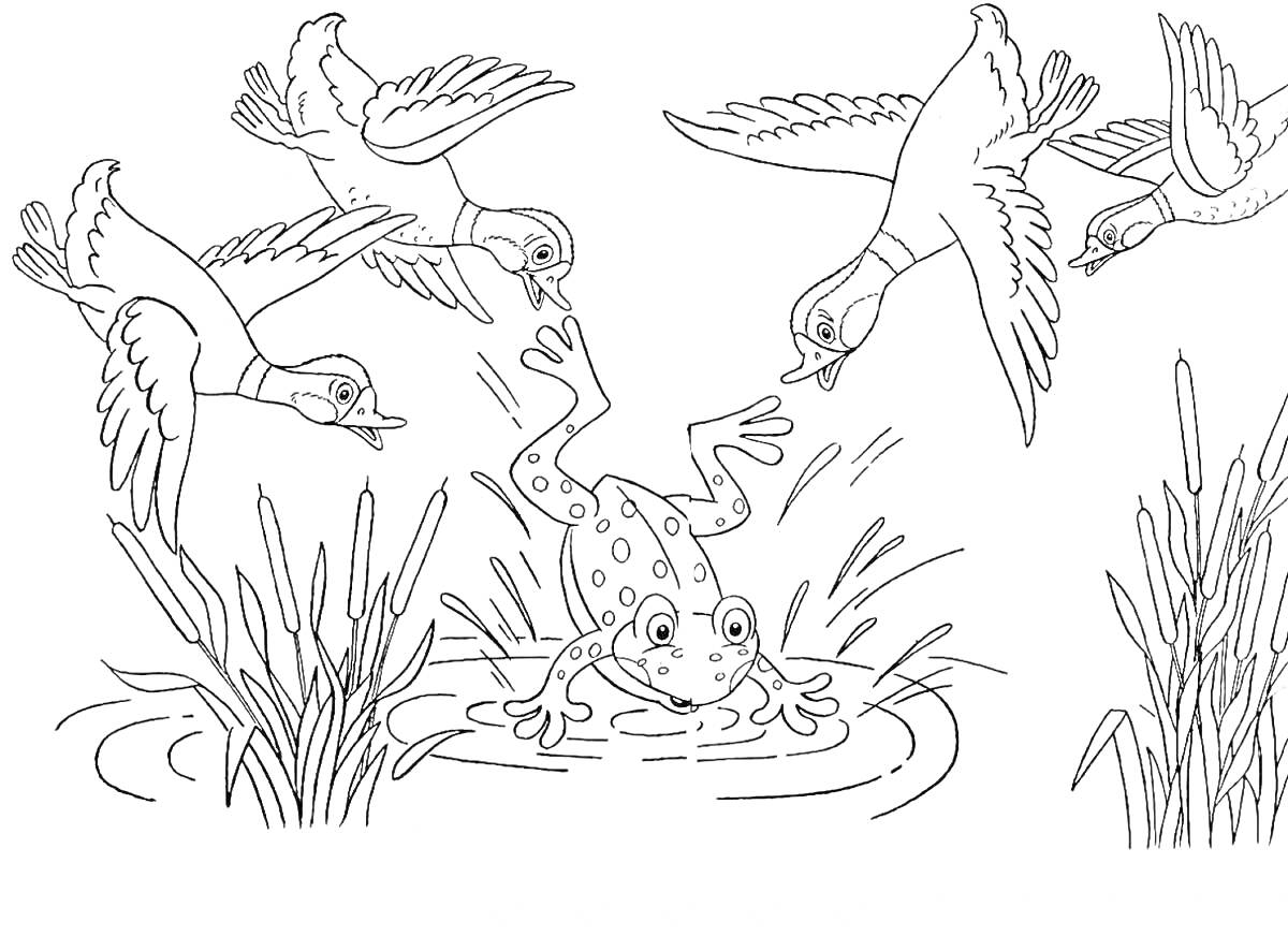 Раскраска Лягушка путешественница с утками над водоемом