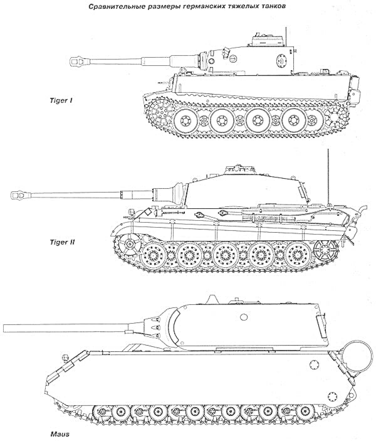 Раскраска Сравнительные размеры германских тяжелых танков Tiger I, Tiger II и Maus