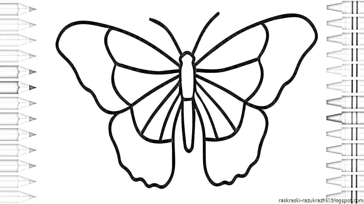 Раскраска Контур бабочки с крыльями для раскрашивания