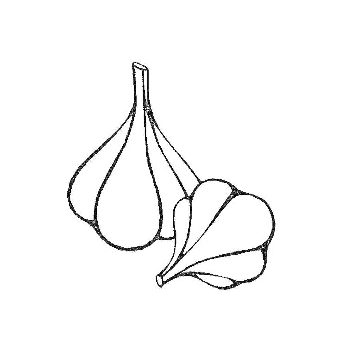 На раскраске изображено: Чеснок, Овощи, Еда, Натюрморт