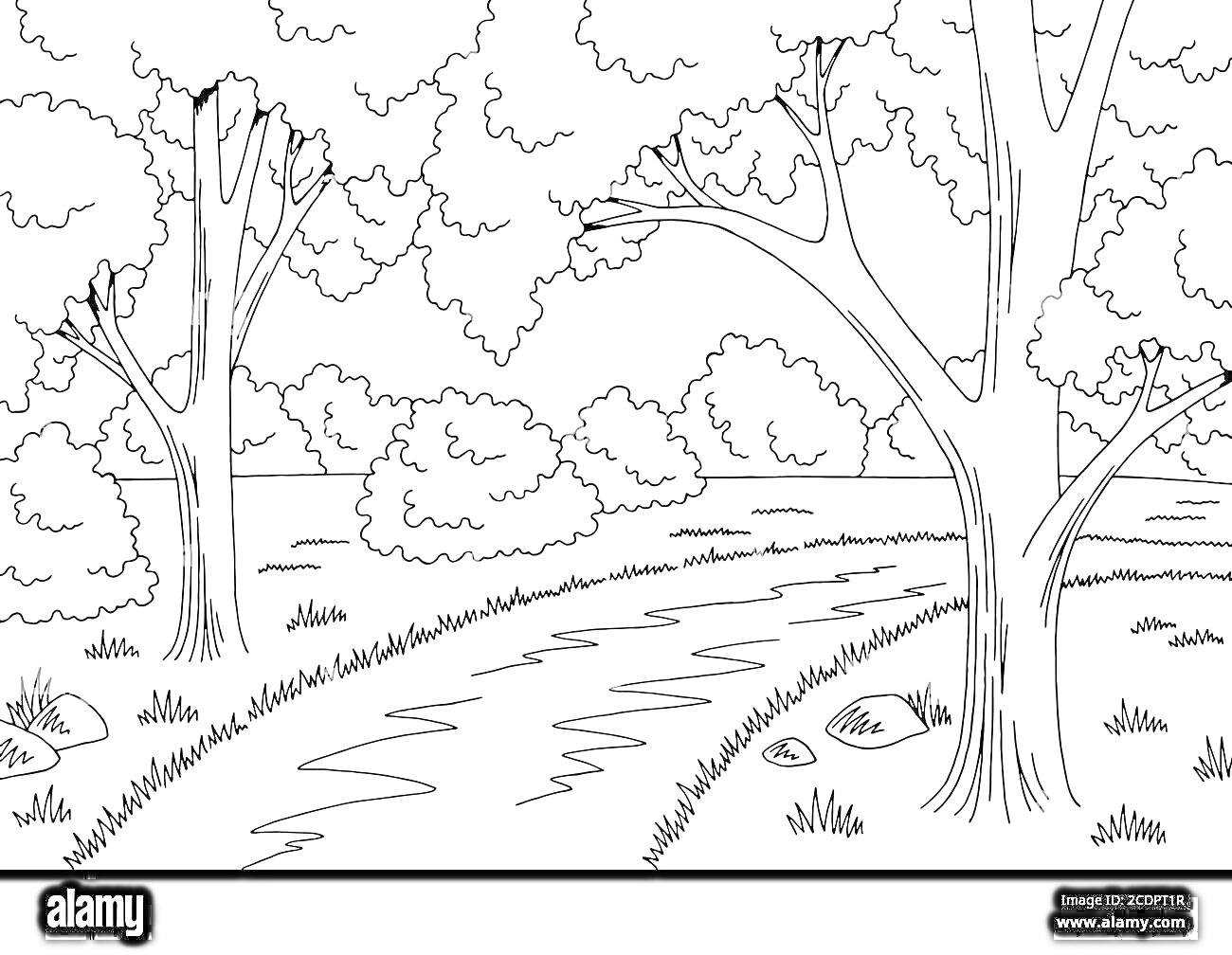 Раскраска Лесная тропинка с деревьями, кустами и камнями