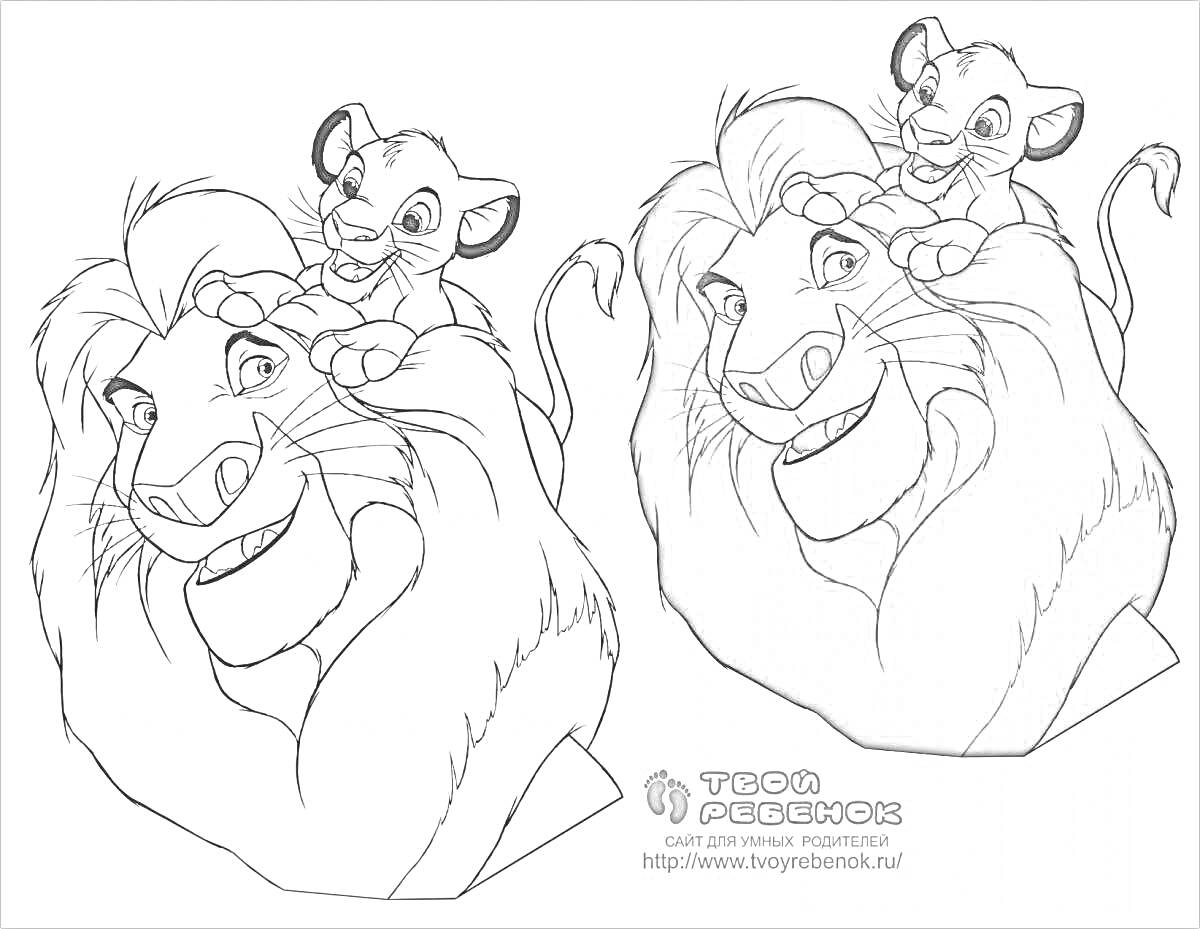 На раскраске изображено: Симба, Львы, Король лев, Животные, Отец и сын