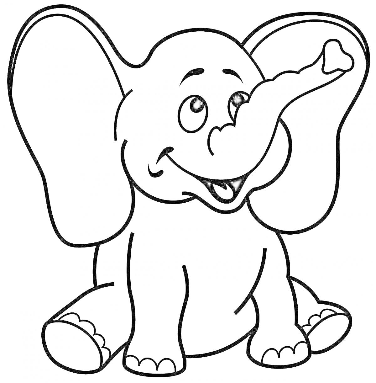 Раскраска улыбающийся слоненок с большими ушами и поднятым хоботом