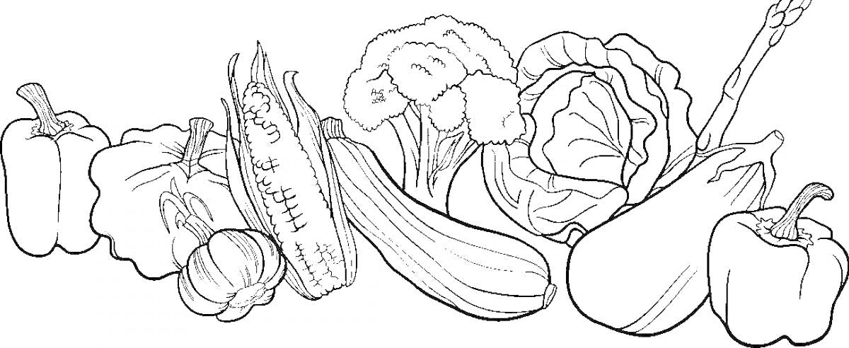 Раскраска Овощи (болгарский перец, кукуруза, цветная капуста, кабачок, капуста, перец, чеснок)