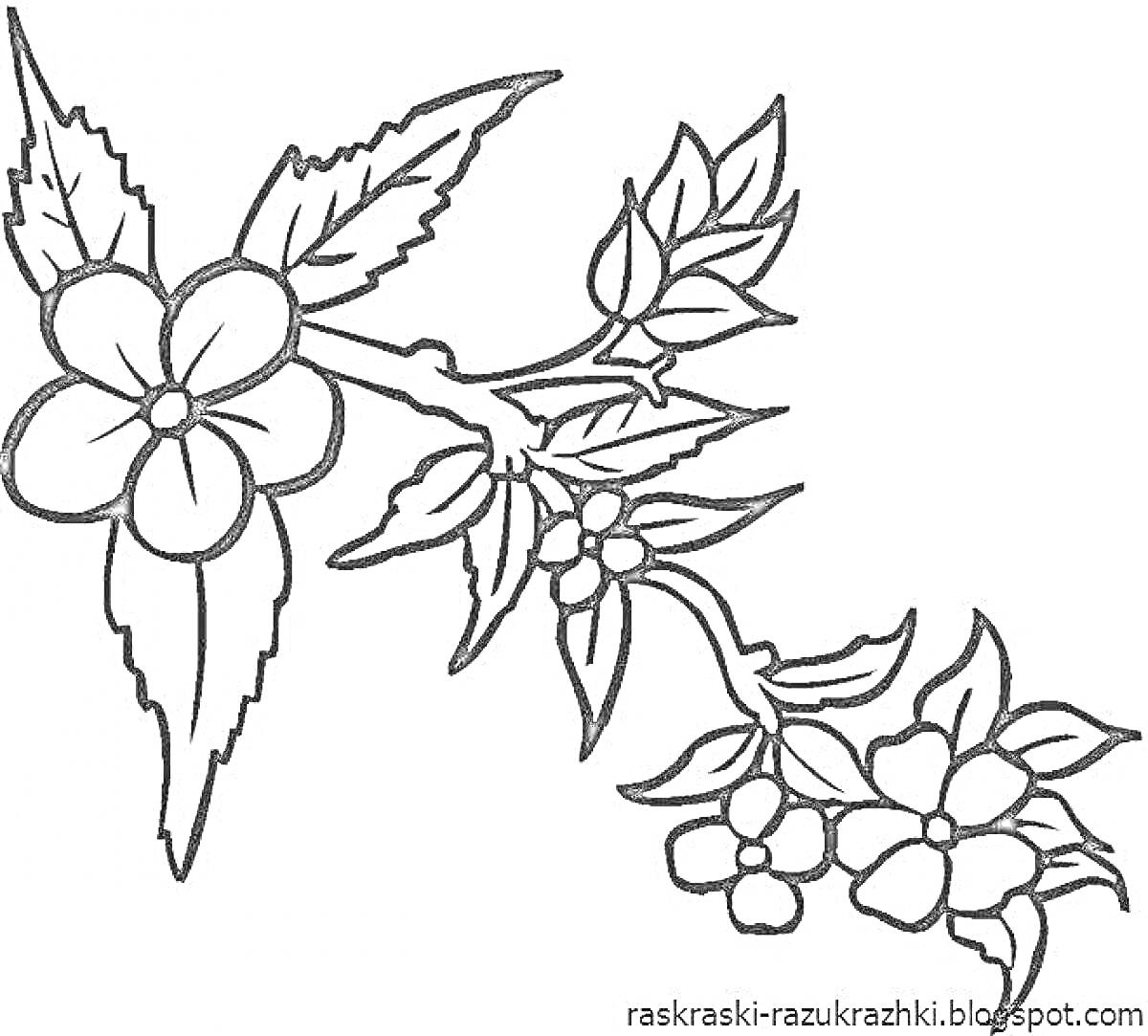 Раскраска Веточка с цветами и листьями