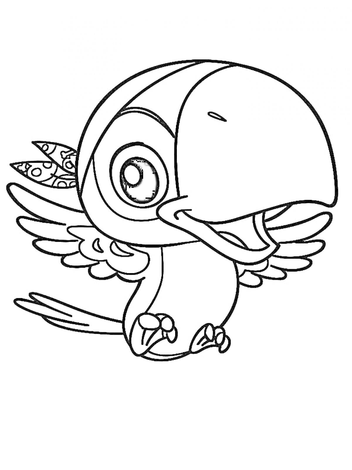 Раскраска Птенец с большим клювом, маленькими крыльями, и двумя перьями на голове