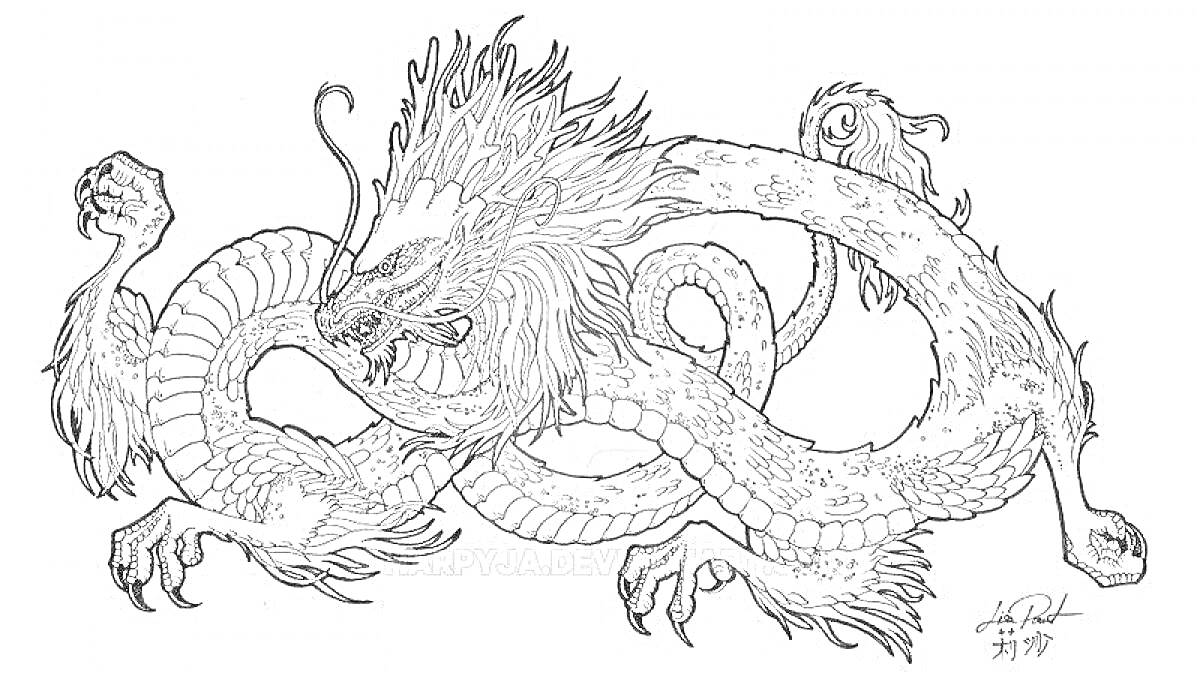 Раскраска Китайский дракон с извивающимся телом, вытянутыми лапами и грозной мордой