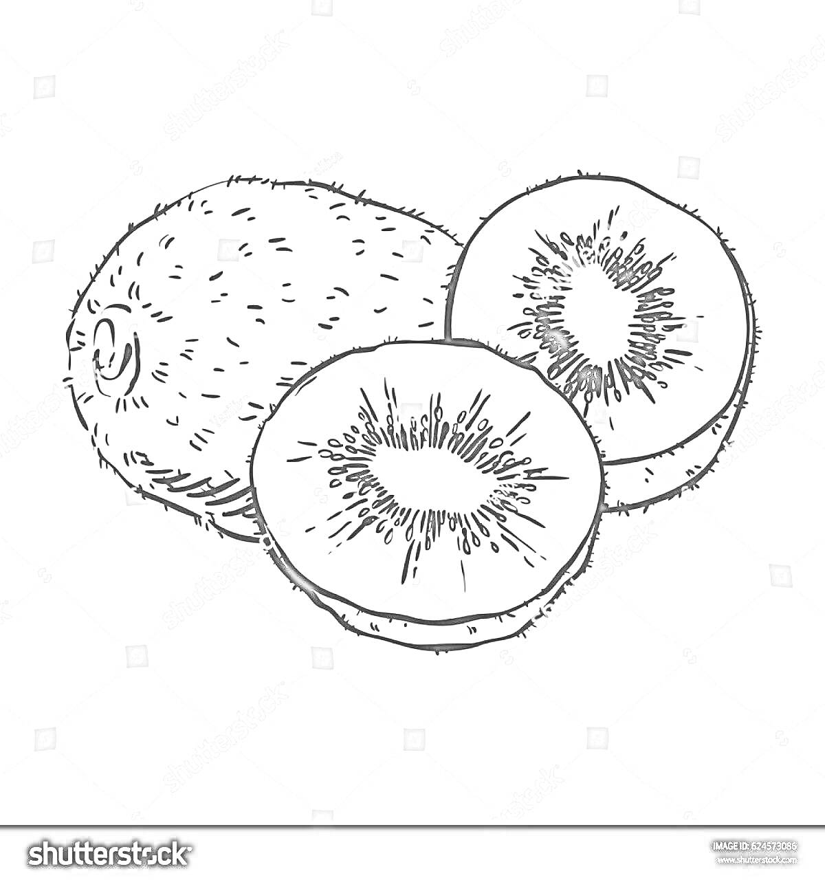 Раскраска Раскраска с изображением целого киви и двух разрезанных половинок