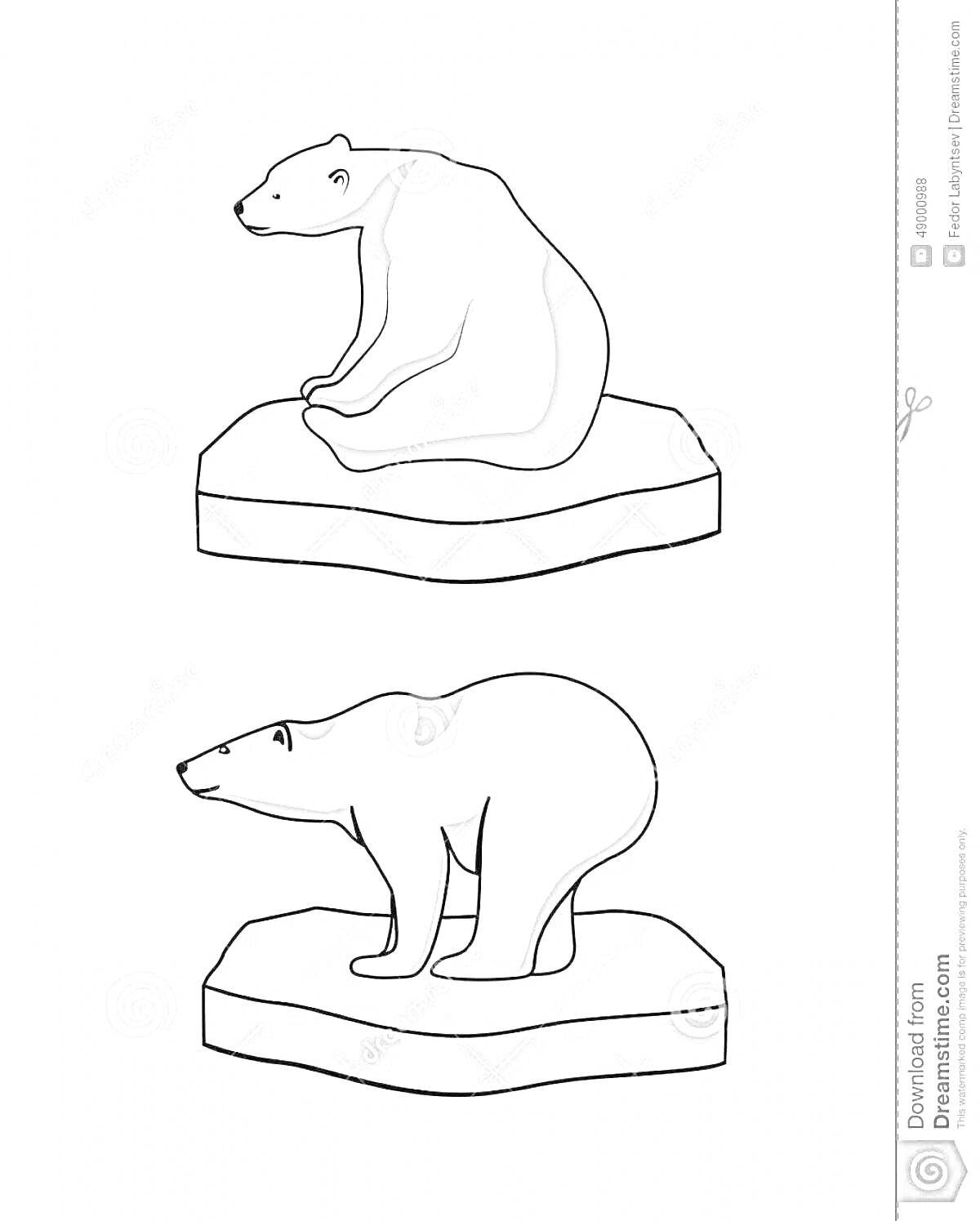 На раскраске изображено: Белый медведь, Льдина, Арктика