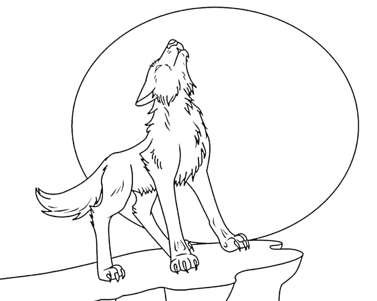 Раскраска Волк, воющий на скале на фоне полной луны