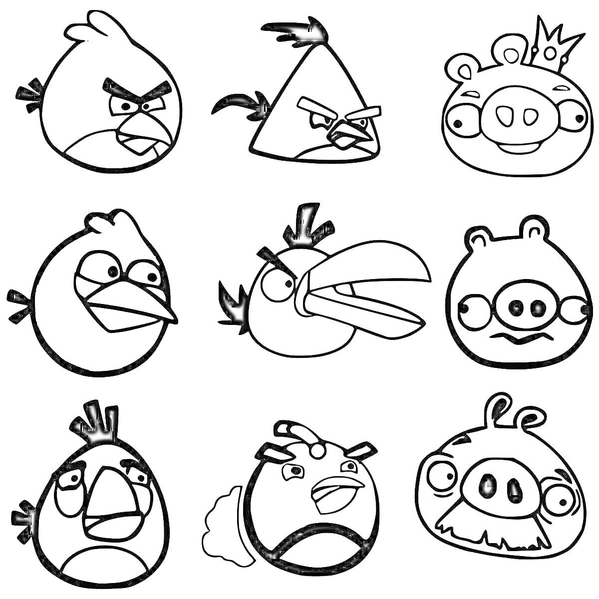 Раскраска Наклейки с персонажами Angry Birds