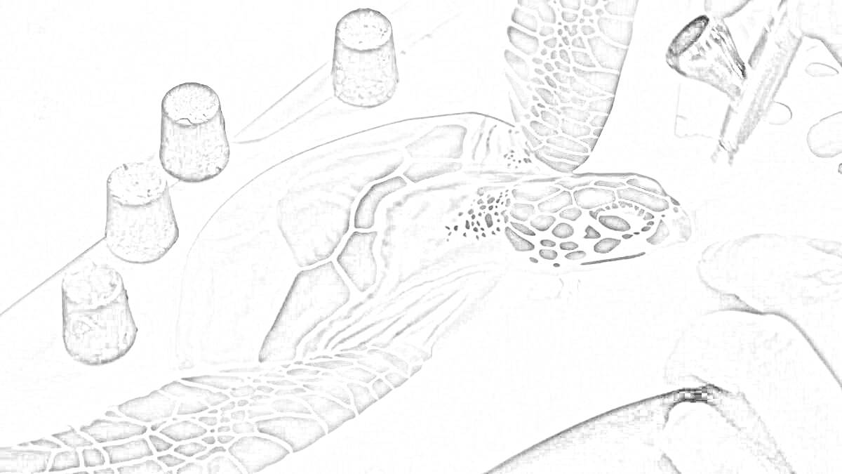 Черепаха с аэрографом и колпачками