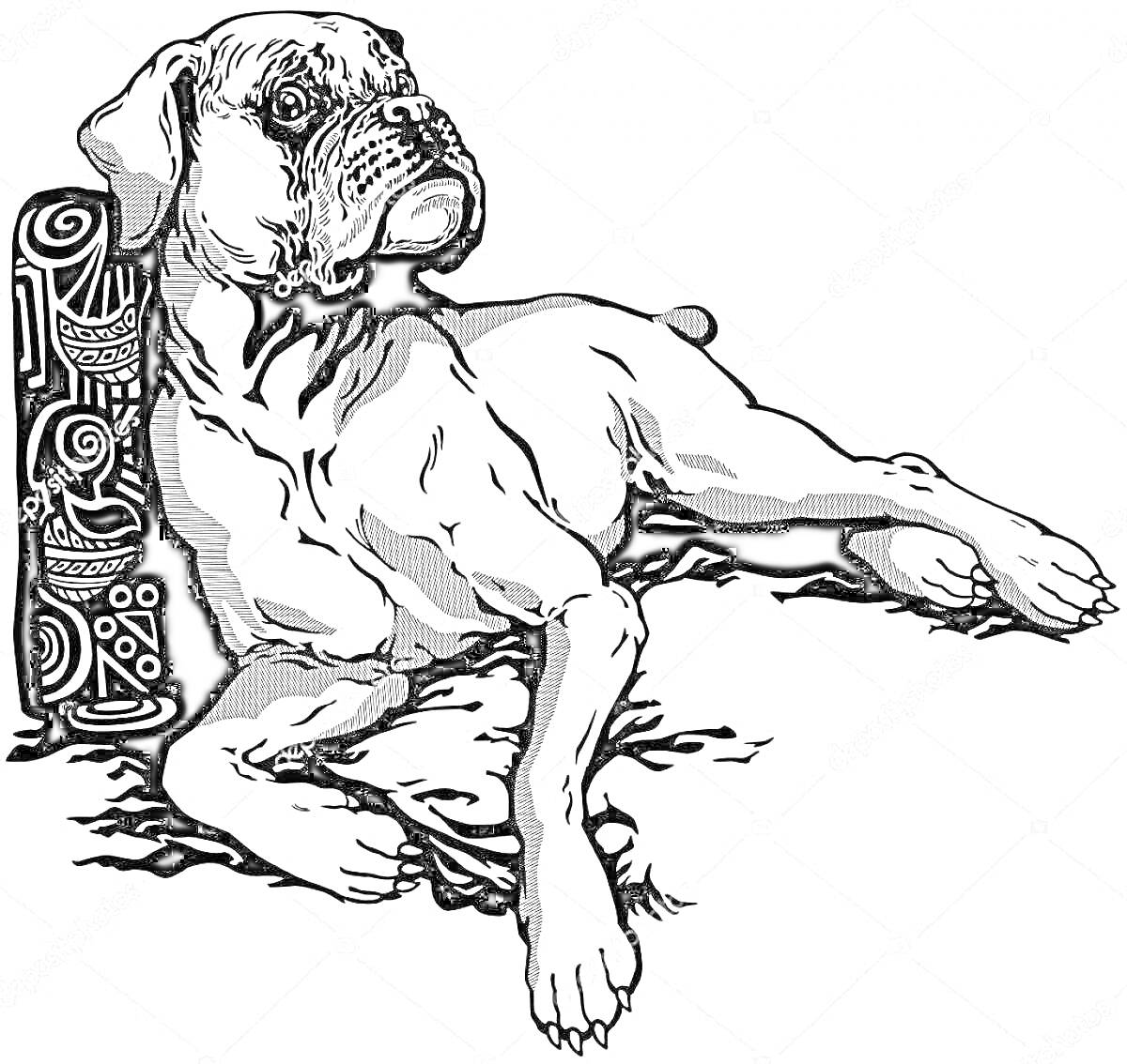 Раскраска Собака породы боксер с орнаментом на фоне, лежащая на земле
