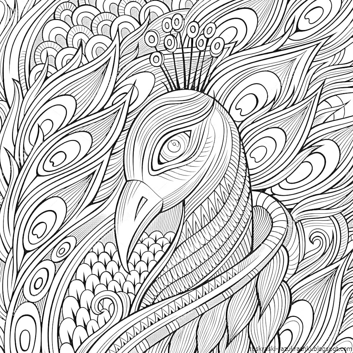 Раскраска антистресс раскраска павлин с узорами из перьев и геометрических элементов