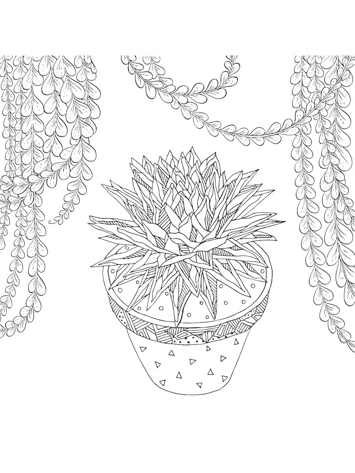 Раскраска Кактус в горшке с висячими растениями