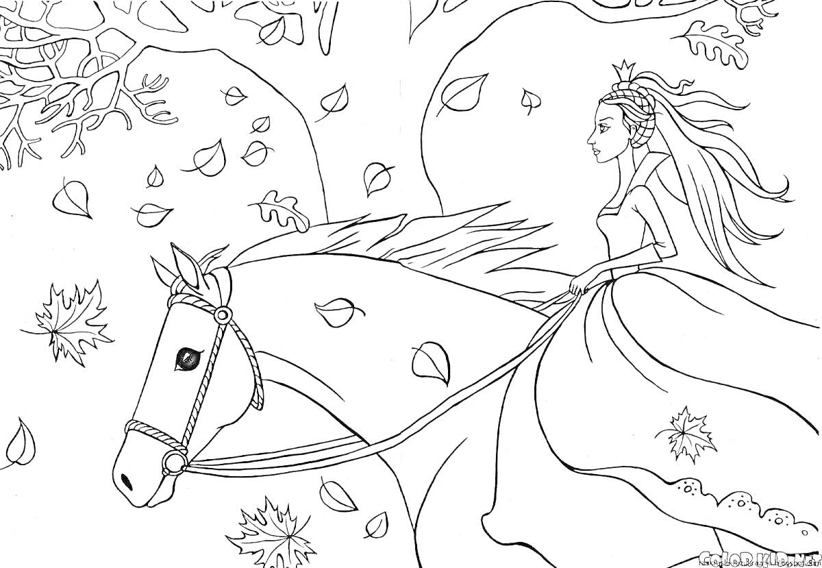 На раскраске изображено: Лошадь, Осень, Листья, Принцесса, Верховая езда, Природа, Деревья, Ветка, Девочка