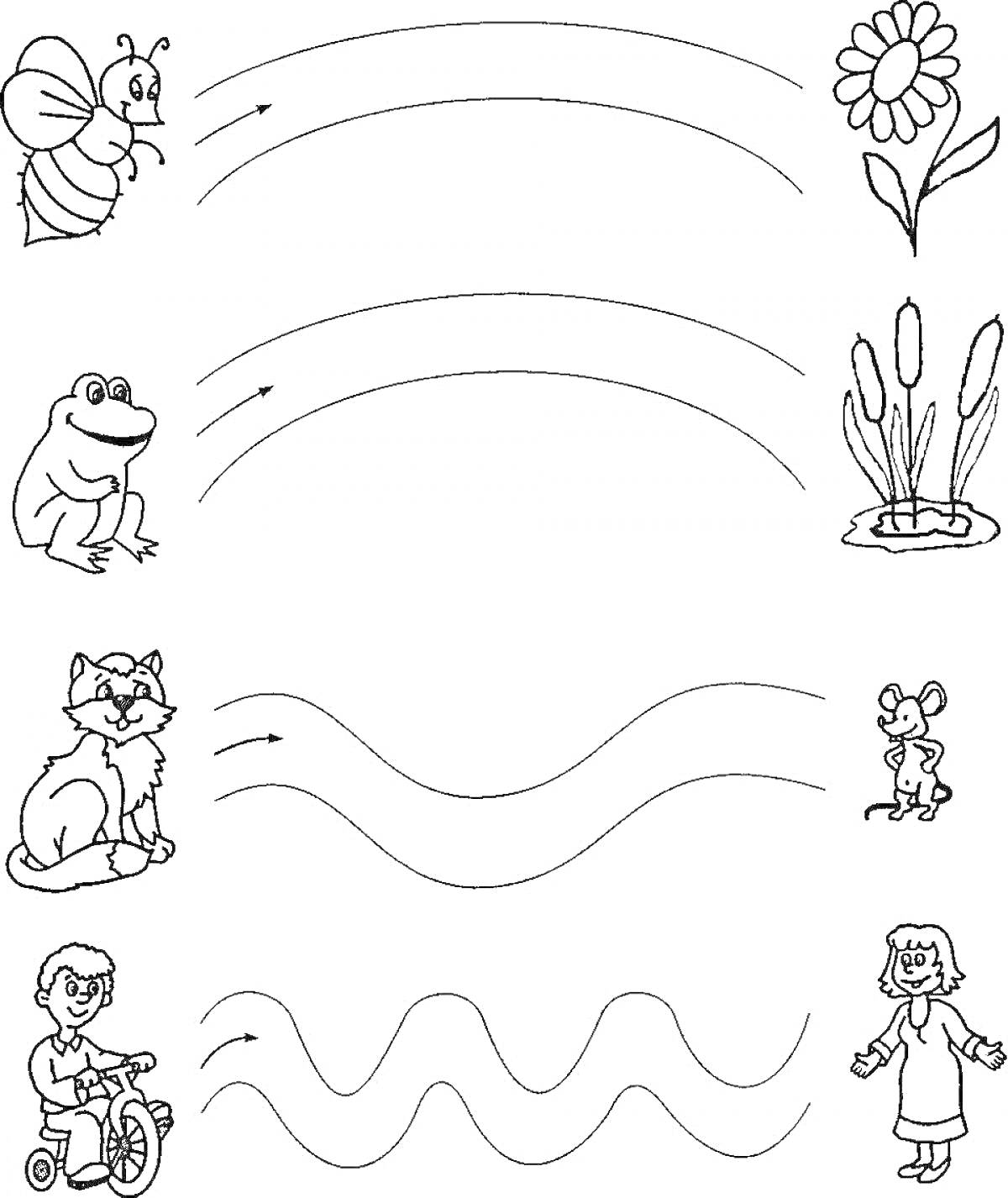 На раскраске изображено: Растения, Кот, Мышь, Ребёнок, Велосипед, Человек, Линии, Волны, Цветы, Дороги, Лягушки, Пчёлы