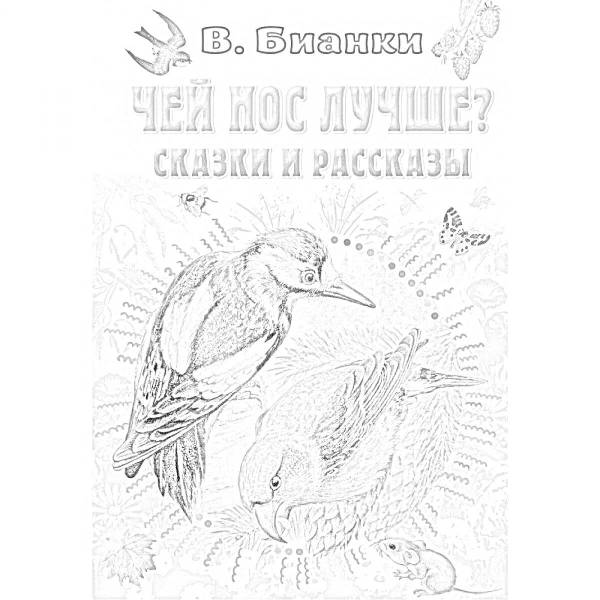 Раскраска бианки
