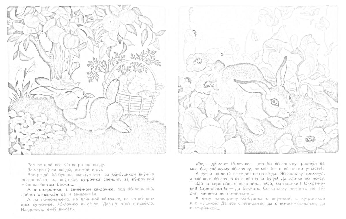 Раскраска Заяц под яблоней с корзиной, а затем убегающий заяц на фоне цветов