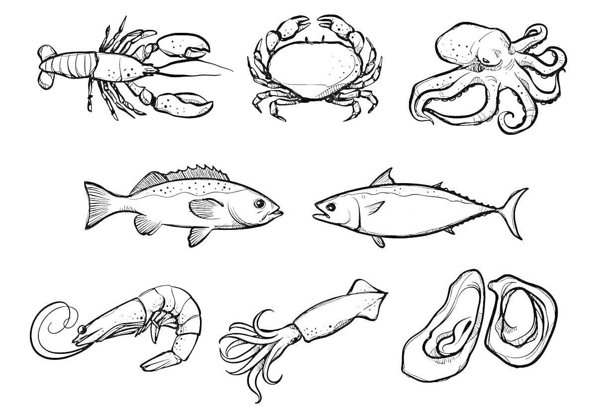 На раскраске изображено: Лобстер, Краб, Рыба, Креветка, Кальмар, Морепродукты, Еда