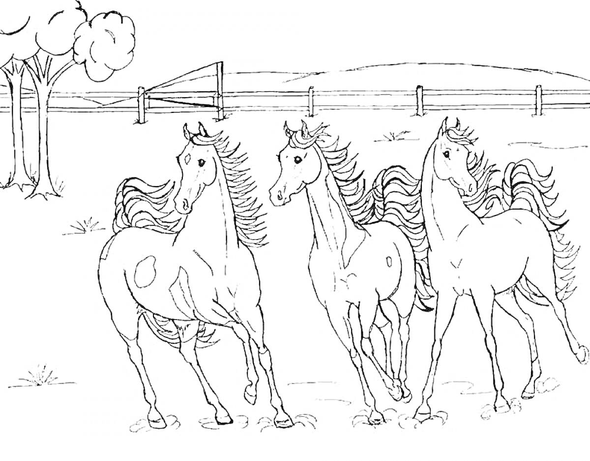 Раскраска Три бегущие лошади на фоне пейзажа с деревьями и забором