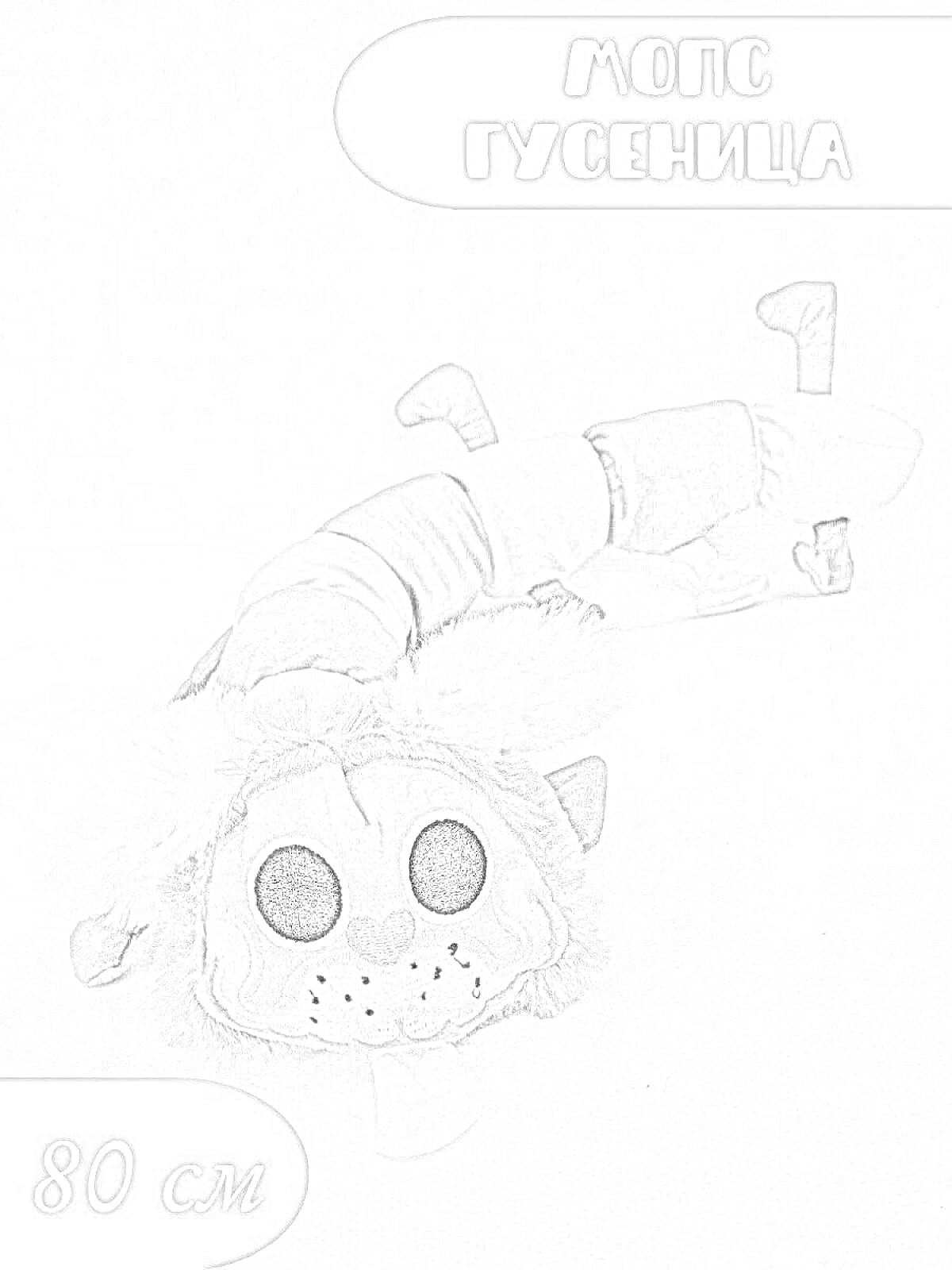 Раскраска Мягкая игрушка в виде мопса-гусеницы длиной 80 см