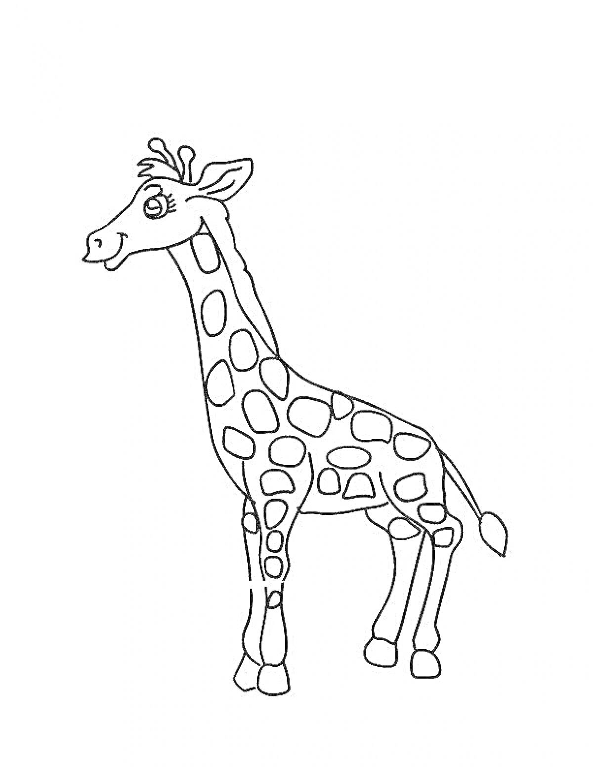 На раскраске изображено: Для детей, Животные, Длинная шея, Пятна, Жирафы