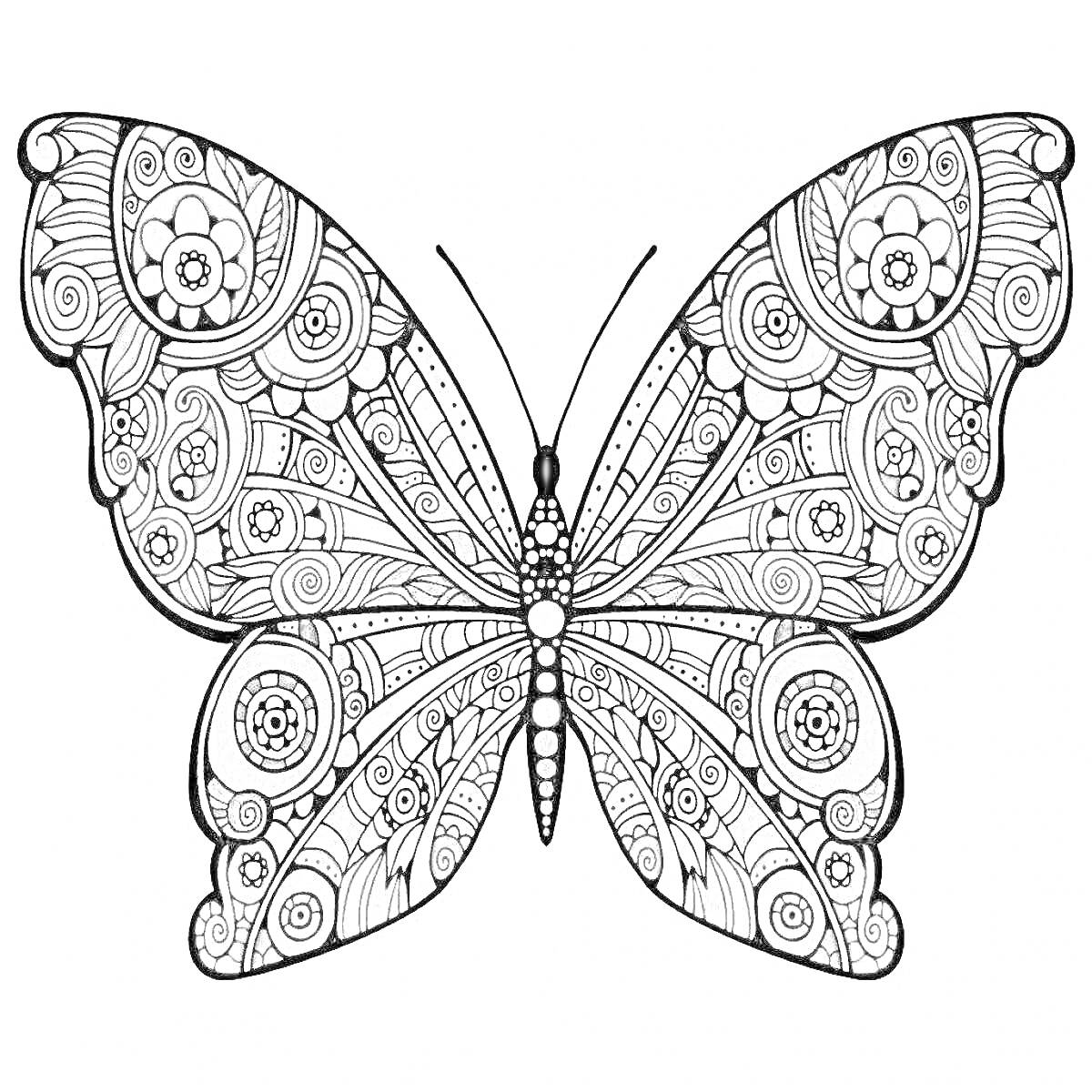 Раскраска Раскраска с цветной бабочкой, включающая детализированные контуры крыльев с цветочными и геометрическими узорами.