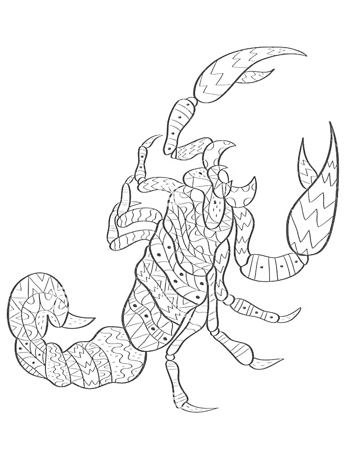 Раскраска Скорпион с узорами, включающими зигзаги и волнистые линии на теле, клешнях и хвосте.