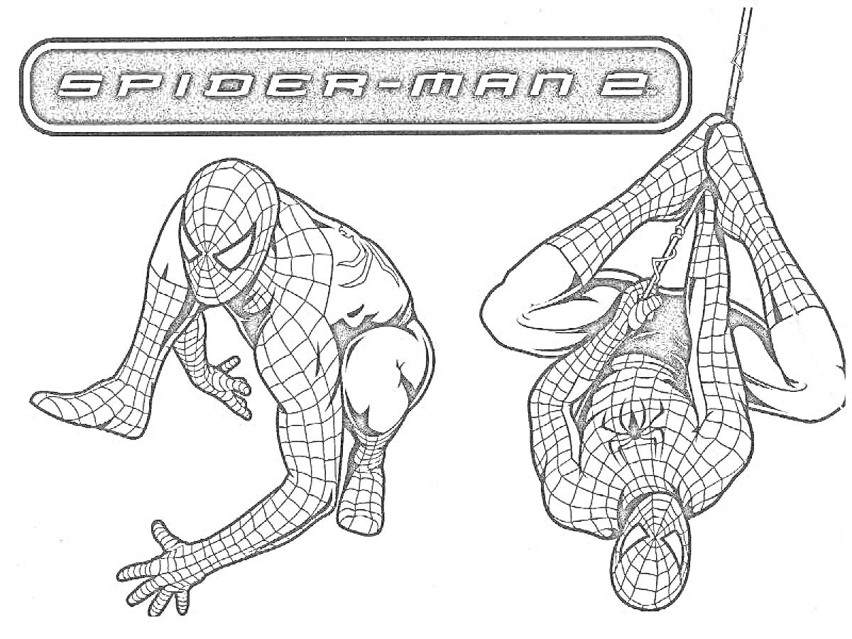 На раскраске изображено: Человек-паук, Паутина, Боевые позы, Спайдермен