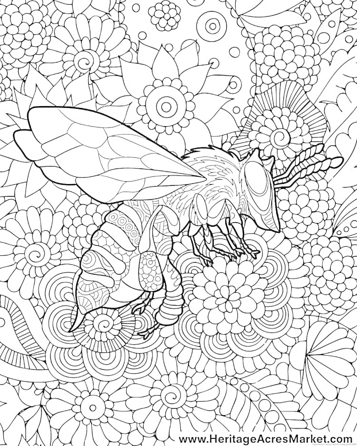 Раскраска Пчела на цветке на фоне различных узоров и цветов