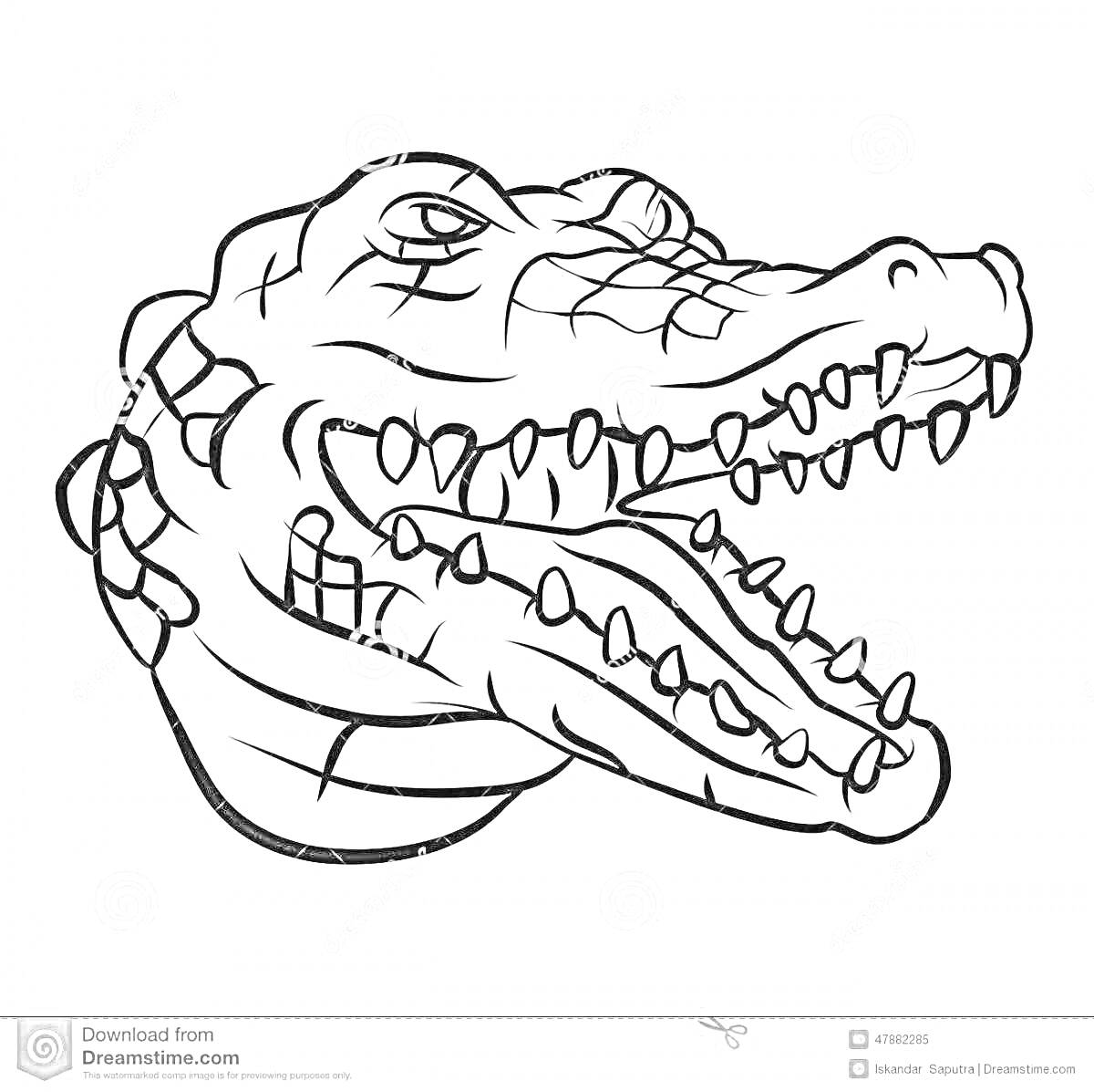 На раскраске изображено: Маска, Крокодил, Зубы, Пасть, Кожа, Узоры