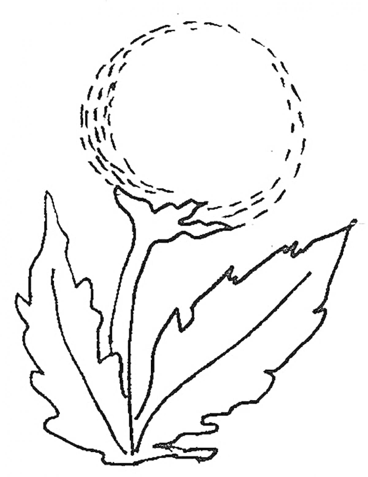 На раскраске изображено: Одуванчик, Листья, Природа, Цветы, Растения