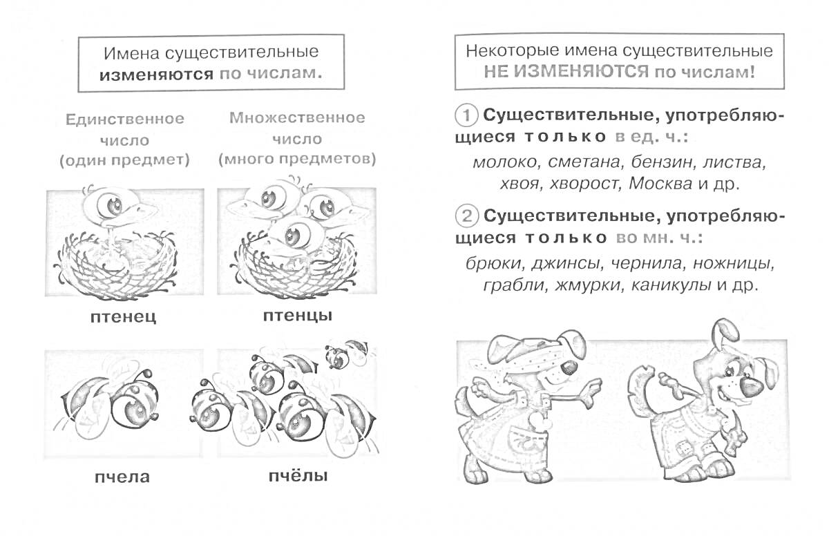 На раскраске изображено: Имена существительные, Множественное число, Примеры, Птенец, Пчелы, Молоко, Сахар, Москва, Ножницы, Грабли, Часы